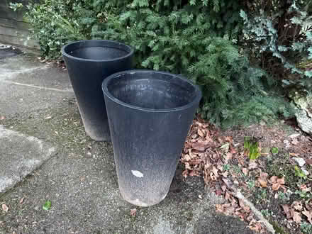 Photo of free Tall plant pots (Stockport SK7) #1