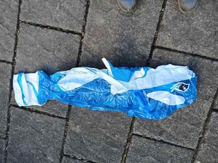 Photo of free Inflatable Whale and Dolphin (Helsington LA8) #2