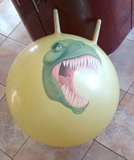 Photo of free Space hopper toy (Chorlton M21) #1