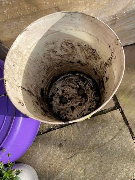 Photo of free Large metal planter (Great Bourton, OX17) #2