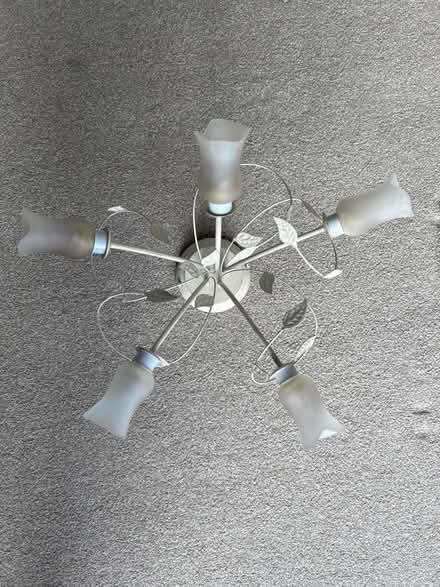Photo of free Leaf design ceiling light (Bath & North East Somerset) #2