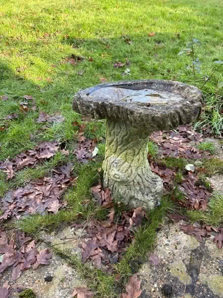 Photo of free Various garden bird baths etc (Cranleigh) #1