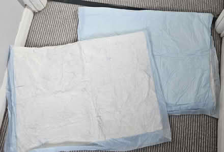 Photo of free 2 x disposable absorbant pads (Hounslow TW3) #1