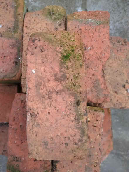 Photo of free 28 bricks (Boscombe, BH1) #2