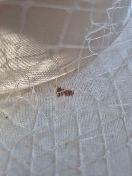 Photo of free Ladies hat (Norcot RG30) #2