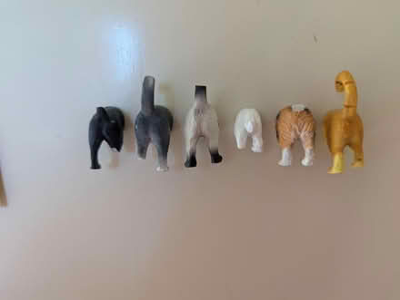Photo of free Cat butt magnets (280/Winchester) #2