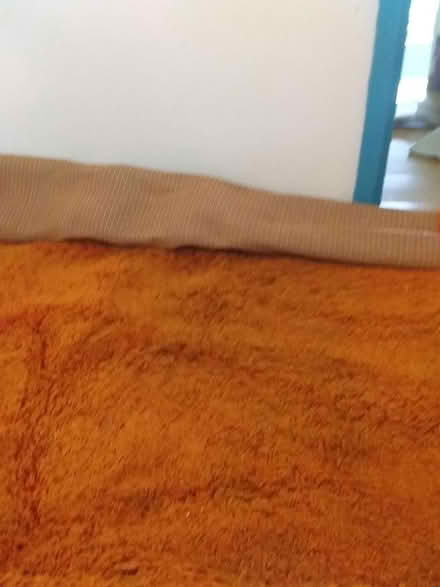 Photo of free Orange Carpet (Camden Town . Chalkfarm) #1