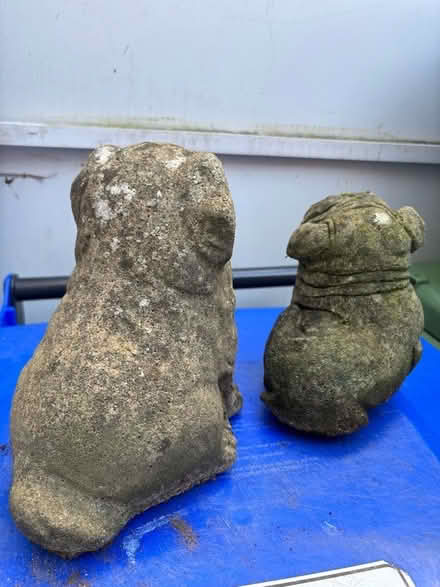 Photo of free Ornamental garden Dogs (Brookwood GU24) #2