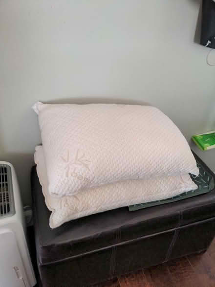 Photo of free 2x Memory Foam Pillows (Small) (El Segundo) #1