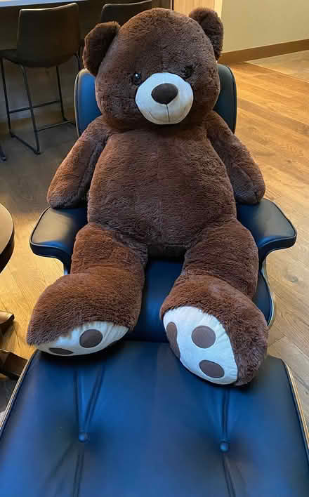 Photo of free Giant Teddy Bear (Mill Creek) #2