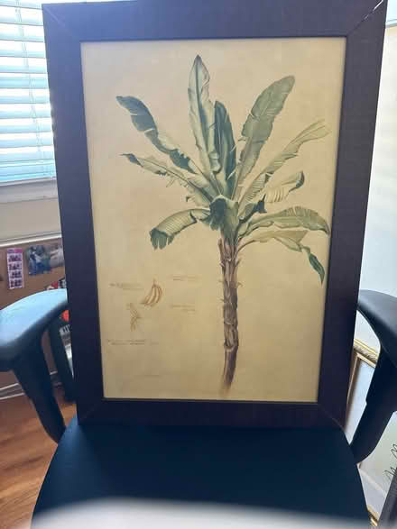 Photo of free Palm tree picture frames (Cedar knolls, NJ) #1