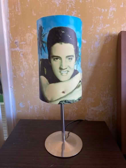 Photo of free Elvis lamp (Bedminster Down BS13) #1