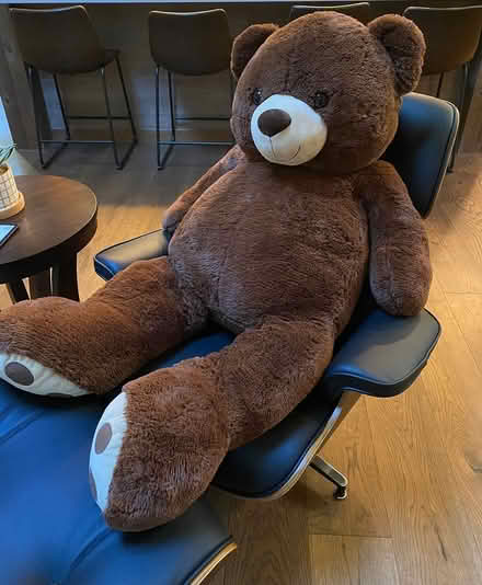 Photo of free Giant Teddy Bear (Mill Creek) #1