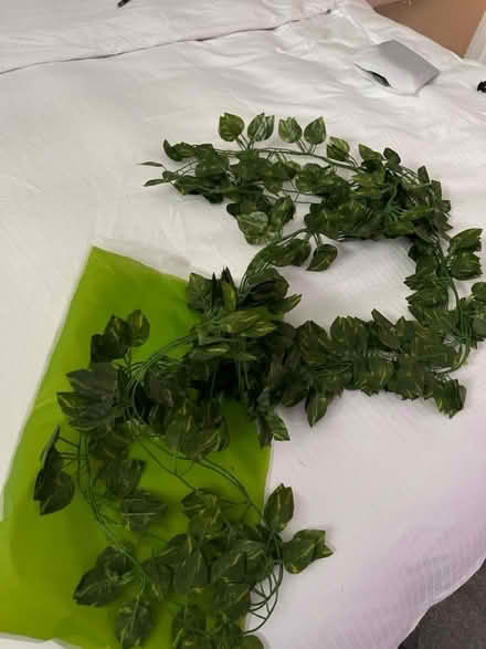 Photo of free Decorative faux leaves (Br2 Shortlands) #1