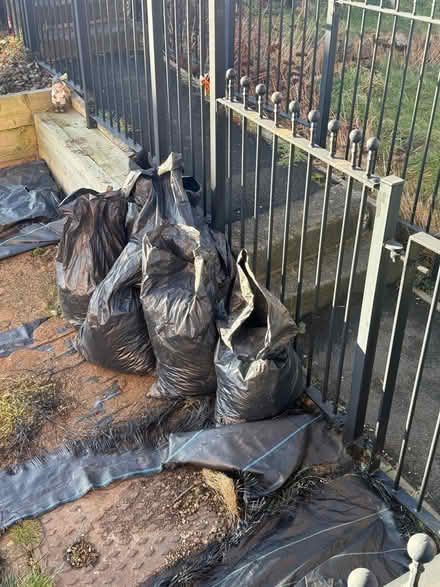 Photo of free 7 bags of bark (Norfolk Park S2) #2