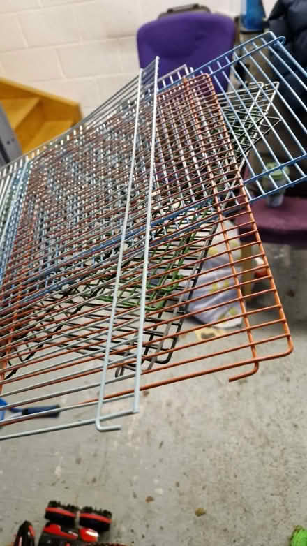 Photo of free Small pet run hamster (Bay Horse) #1