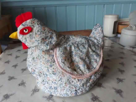 Photo of free Egg basket cover (Lindfield RH16) #2