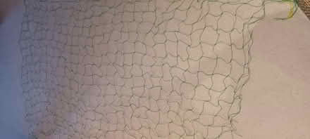 Photo of free Garden treillis climbing plants (Paddington W2) #3