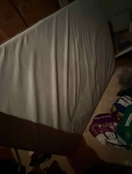 Photo of free mattress- double (Town Centre Cheltenham) #1