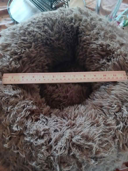 Photo of free Almost new cat bed (Bridalcreek/chadwyck) #3