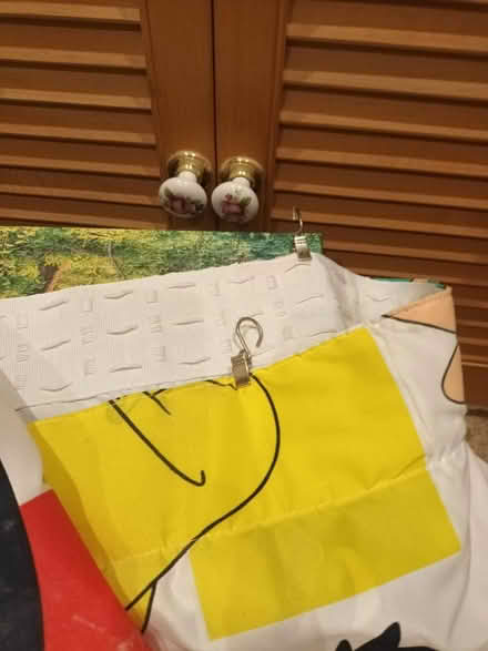 Photo of free Pokemon curtains (east leake LE12) #2