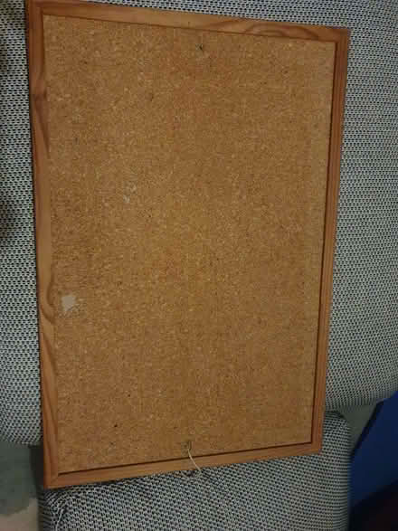 Photo of free Corkboard (Odd Down) #1
