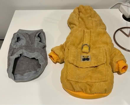 Photo of free Small dog jumper and jacket (UB1) #1