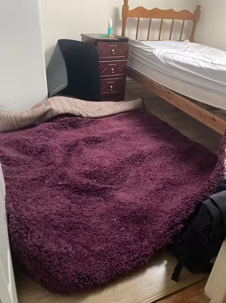 Photo of free purple rug (rathmines) #1