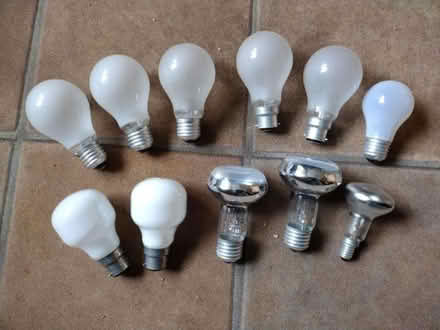 Photo of free Various domestic light bulbs (Eastbourne BN21 2) #1