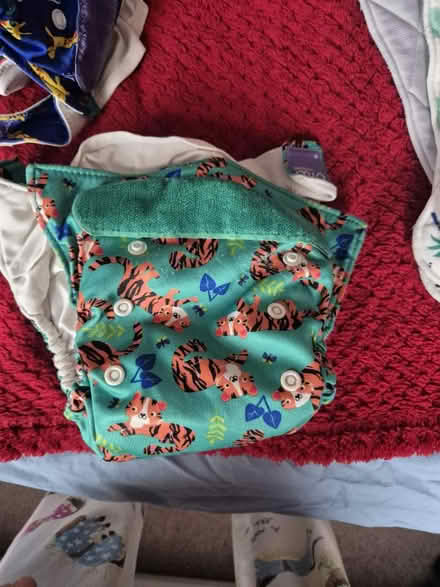 Photo of free Reusable nappy bundle (N11 (arnos grove)) #3