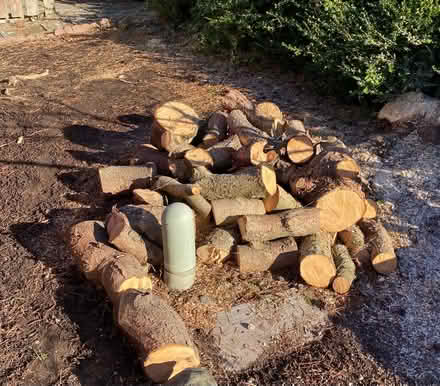 Photo of free Firewood (Lake Stevens) #1