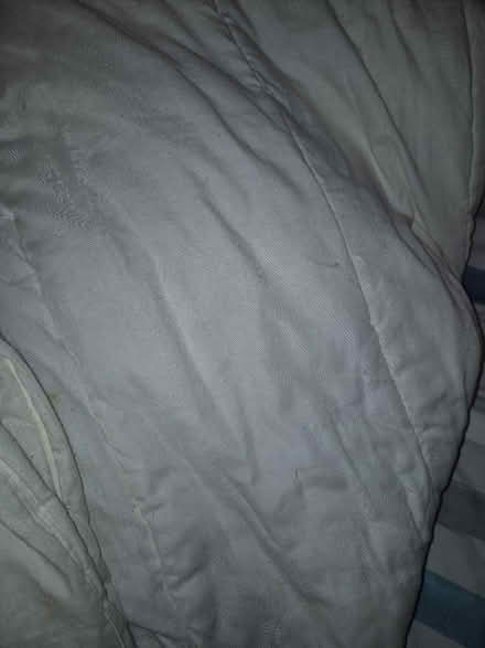 Photo of free 2 single duvets (Parsons cross S5) #2
