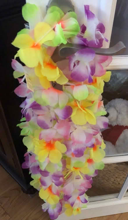 Photo of free garlands (Molesey KT8) #1