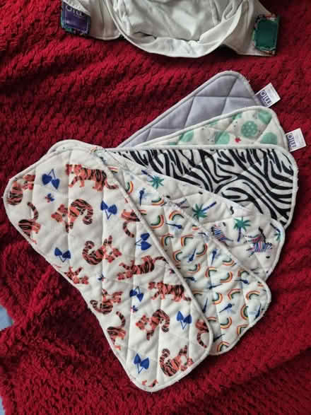 Photo of free Reusable nappy bundle (N11 (arnos grove)) #2