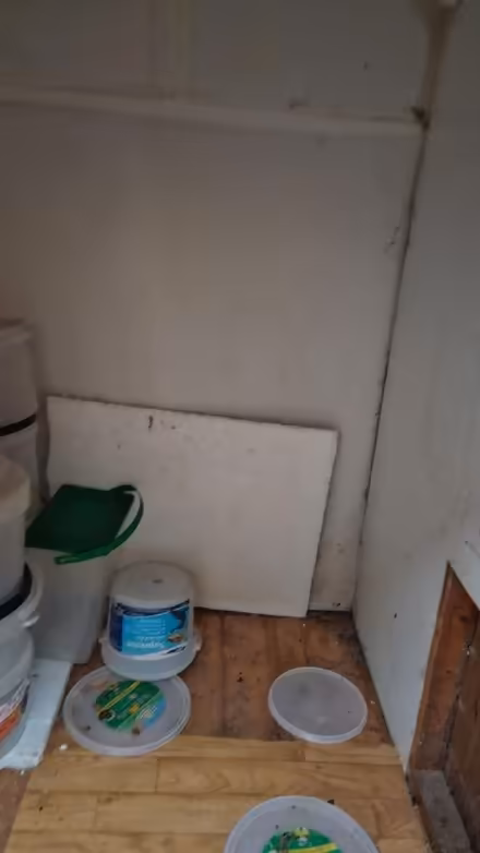 Photo of free Small wooden shed (Battle TN33) #3