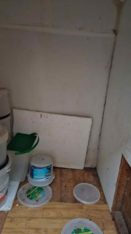 Photo of free Small wooden shed (Battle TN33) #3