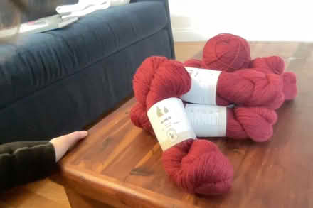 Photo of free 100% wool skeins (hillside below Tufts) #1