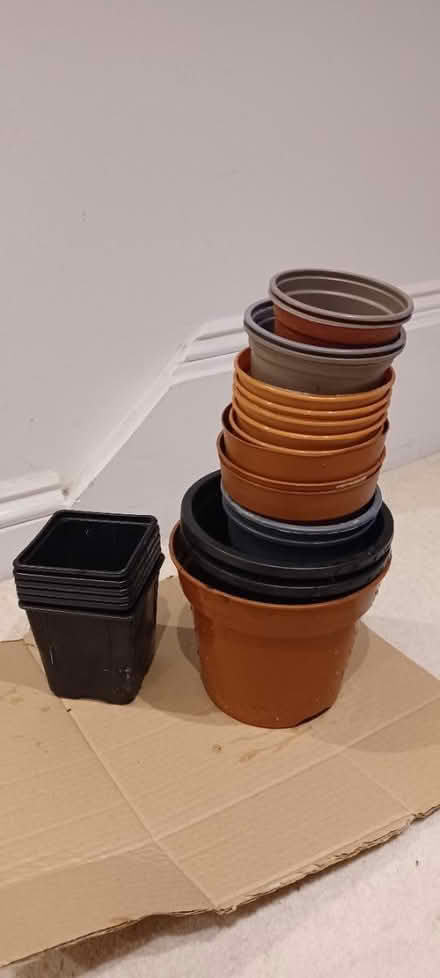 Photo of free Plants pots (Paddington W2) #1