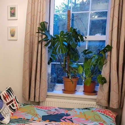 Photo of free Pair of Next eyelet curtains (Upper Holloway N7) #1