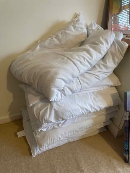 Photo of free 2 single duvet and 4 pillows (BR6) #1