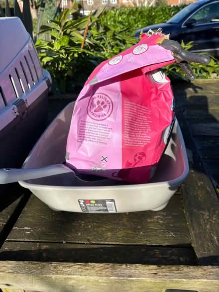 Photo of free Cat litter tray (Walton-on-Thames KT12) #1