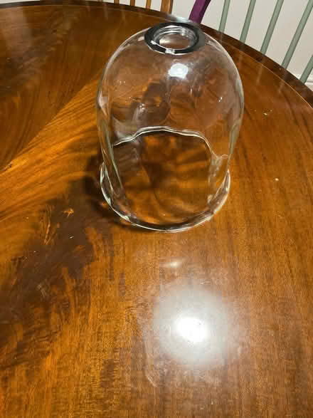 Photo of free Glass lamp shade pendant (CR8) #1