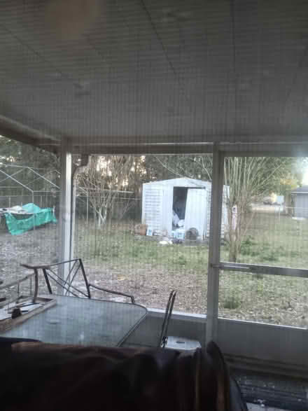 Photo of free Shed (ocala l) #1