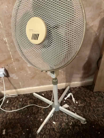 Photo of free Pedestal fan (Alfreton DE55) #1