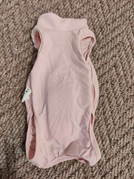 Photo of free Kitten onesie - alternative to cone (Cogges OX28) #1
