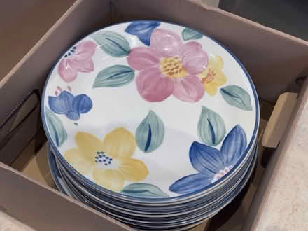 Photo of free Plates+bowls. Marie / Johnson Bros (KT3 New Malden) #1