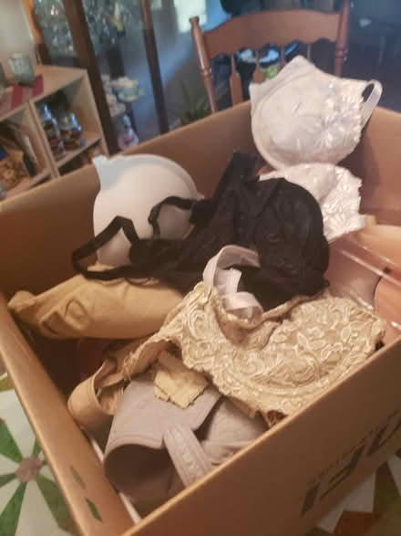 Photo of free Box of bras, mostly about 36b/c (Clearwater, Keene and Druid Rd) #2
