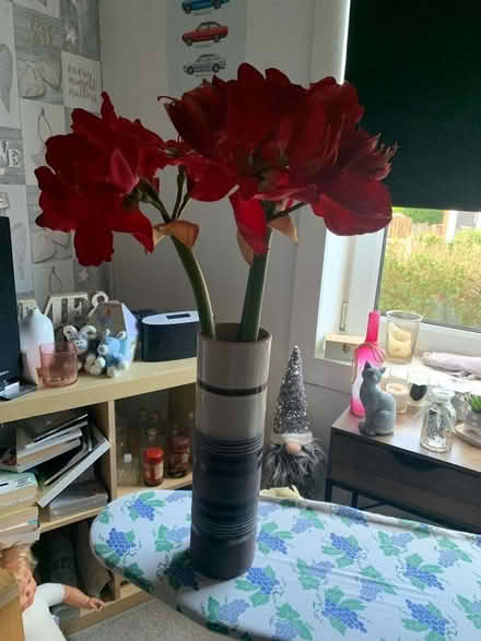 Photo of free Large vase (Carrick Knowe EH12) #1