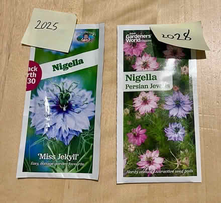 Photo of free Nigella/love-in-a-mist seed packets (Hatfield AL10) #1