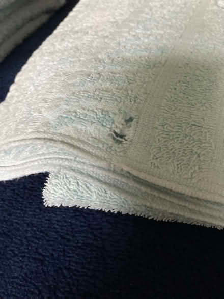Photo of free Two cotton bath sheets BS9 3LH (Westbury Fields BS9) #2